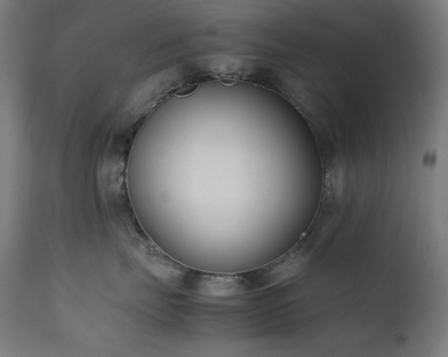 X0000112050671200908041152