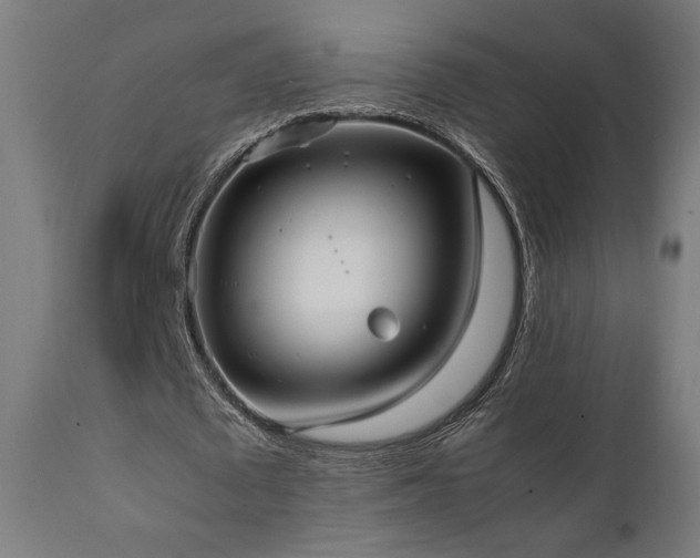 X0000112050673200908041151
