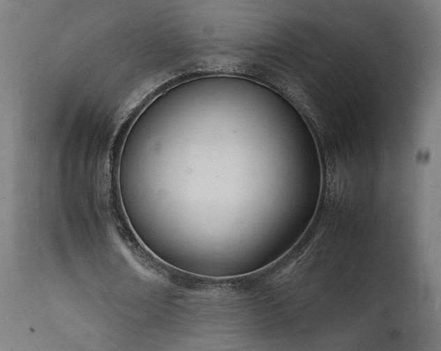 X0000112050674200908041151