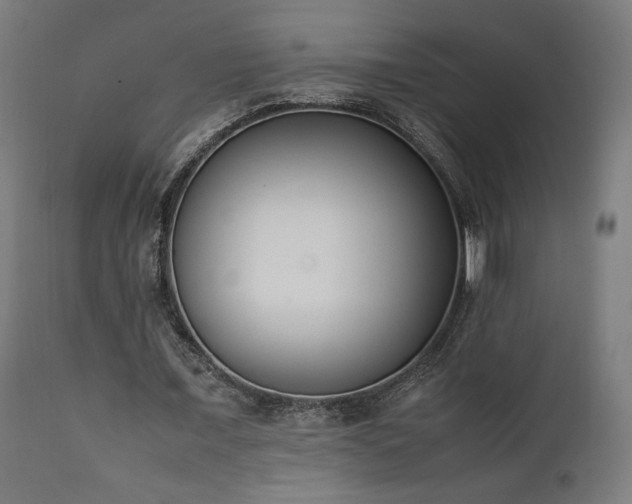 X0000112050675200908041151