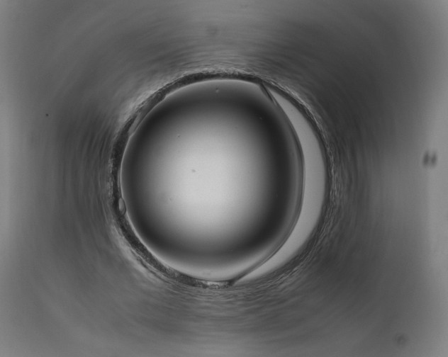 X0000112050677200908041151
