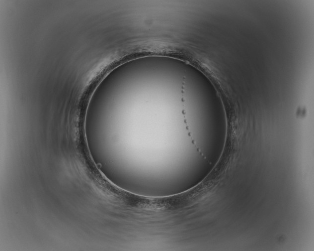 X0000112050679200908041151