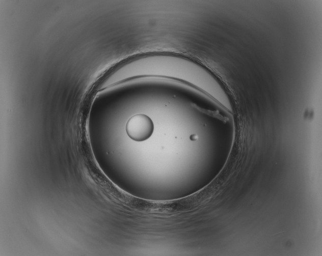 X0000112050680200908041151