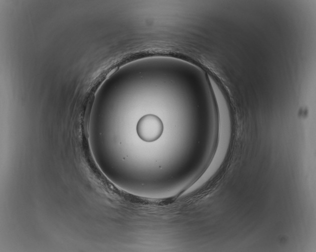 X0000112050681200908041151