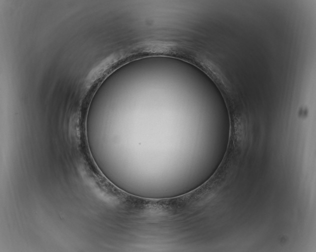 X0000112050682200908041151