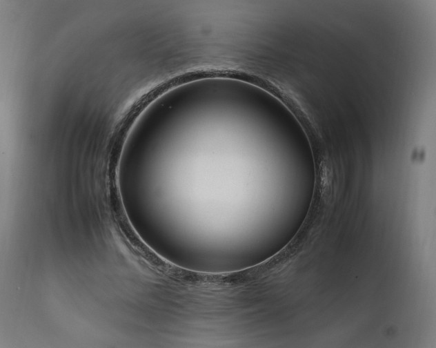 X0000112050684200908041151
