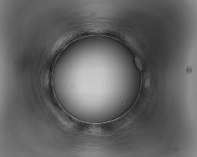 X0000112050685200908041151