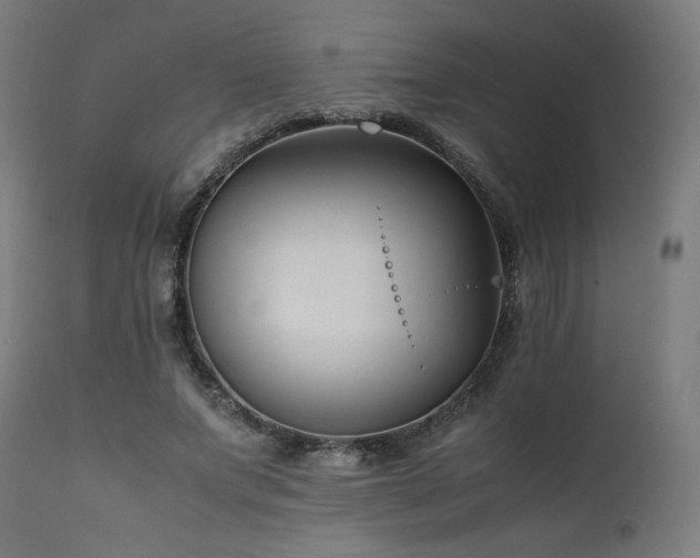 X0000112050687200908041151