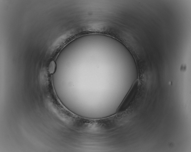 X0000112050688200908041151