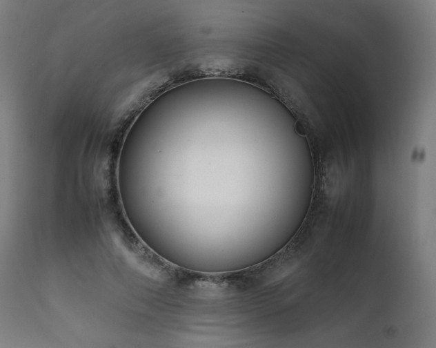 X0000112050690200908041150