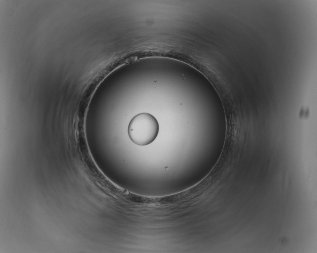 X0000112050692200908041150