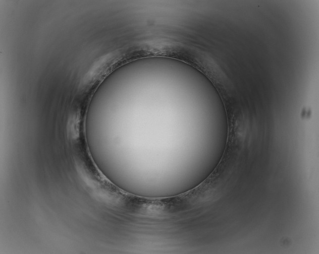 X0000112050694200908041150