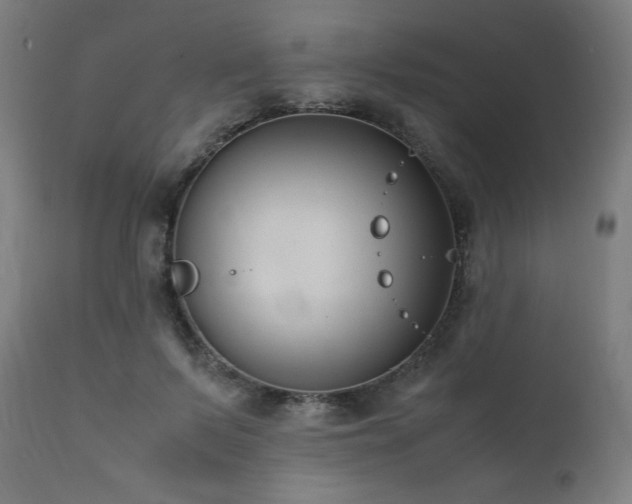 X0000112050695200908041150