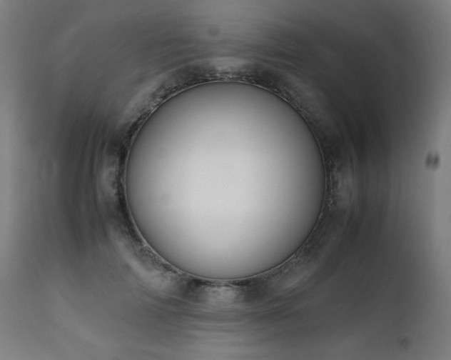 X0000112050698200908041150