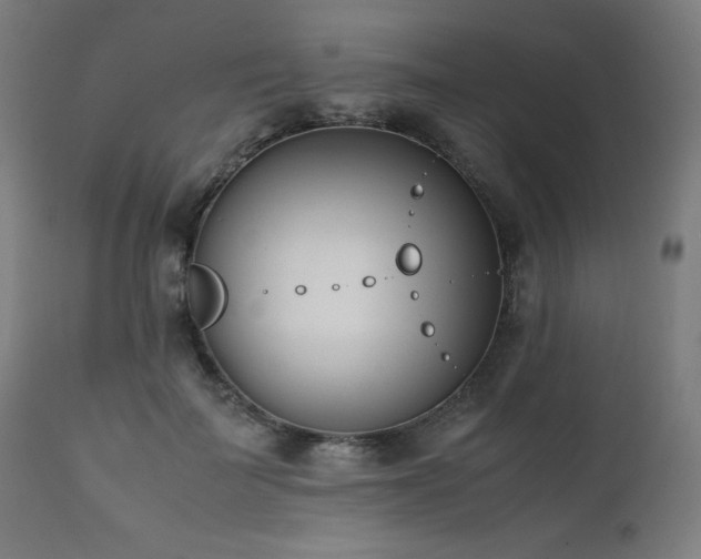 X0000112050699200908041150