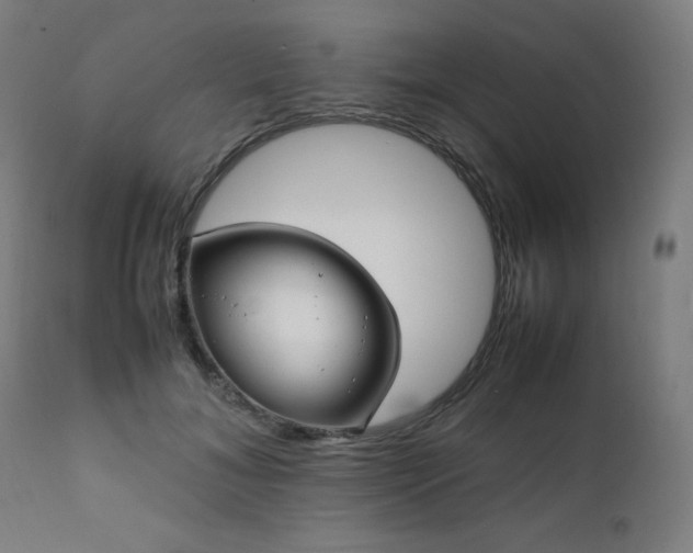 X0000112050700200908041150