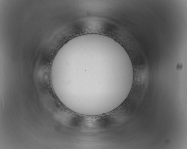 X0000112050701200908041150