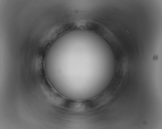 X0000112050702200908041150