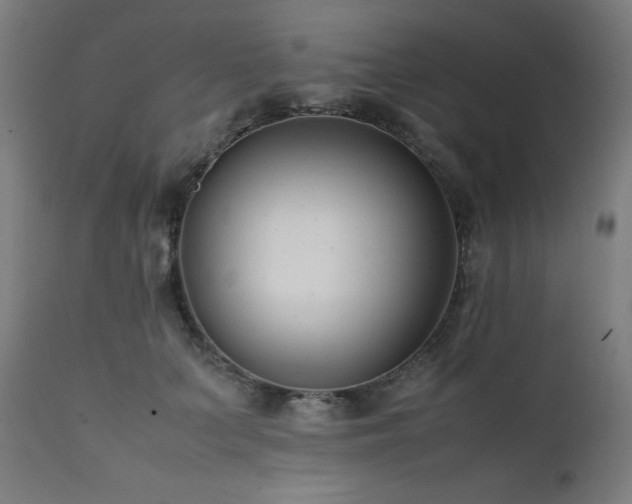 X0000112050703200908041150