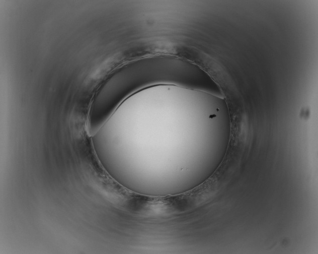 X0000112050704200908041150