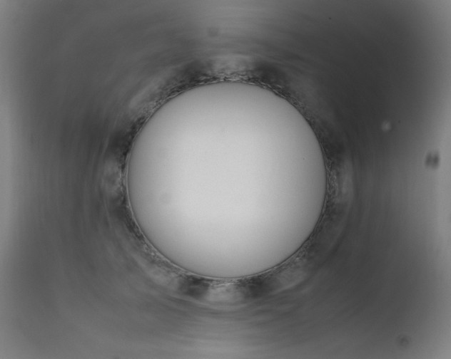 X0000112050705200908041150