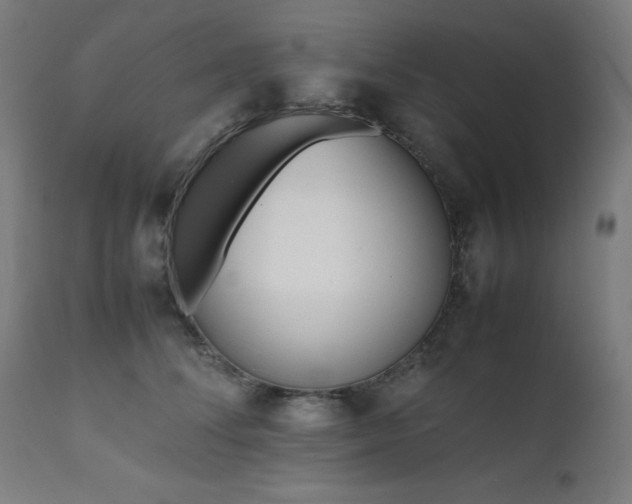 X0000112050708200908041150