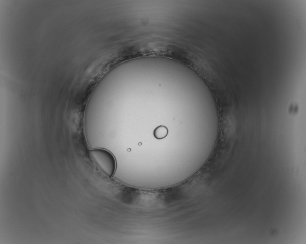 X0000112050709200908041150