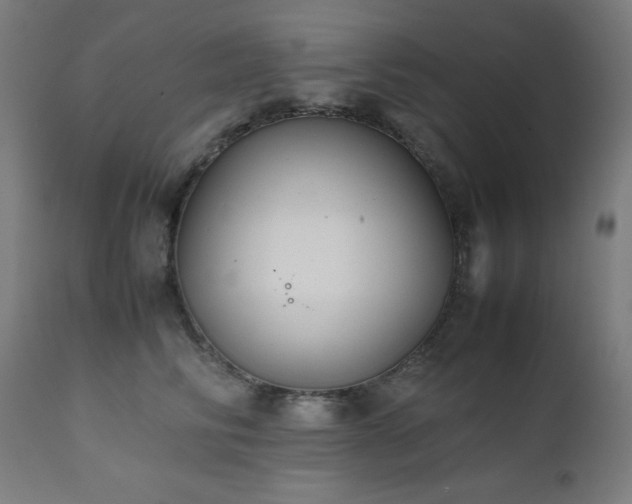 X0000112050710200908041150