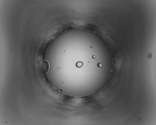 X0000112050711200908041150