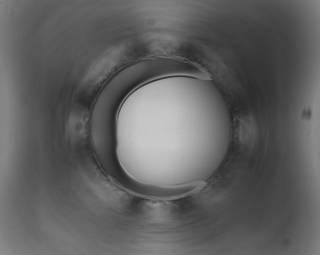 X0000112050712200908041150