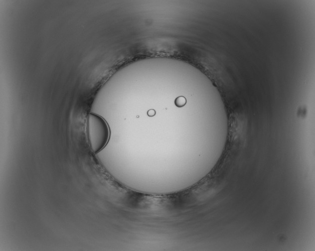 X0000112050713200908041150