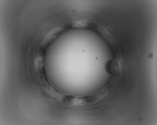 X0000112050714200908041150