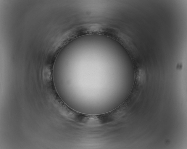 X0000112050715200908041150