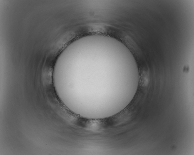 X0000112050717200908041150