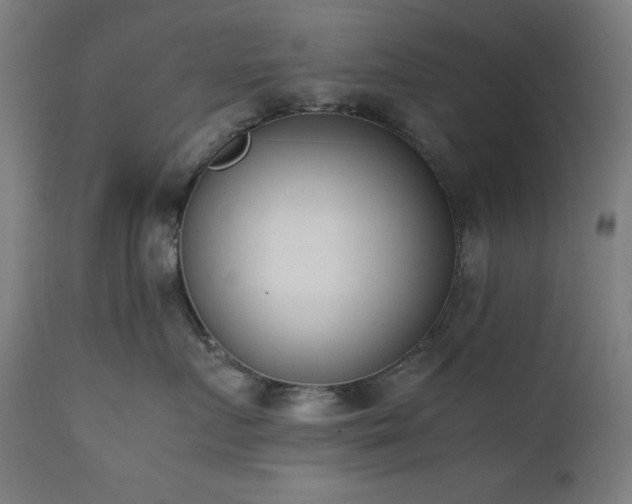 X0000112050719200908041150