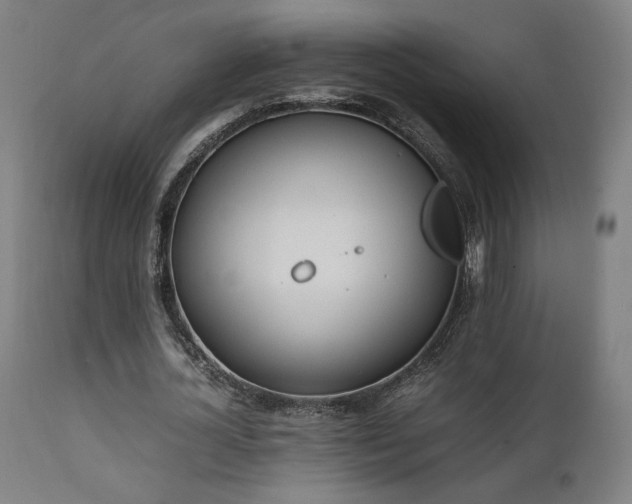 X0000112050724200908041149