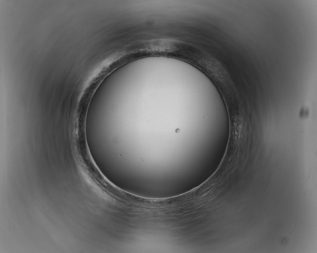 X0000112050726200908041149