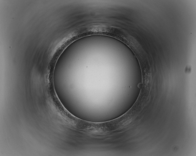X0000112050727200908041149