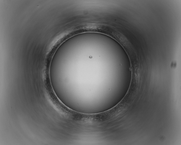 X0000112050728200908041150