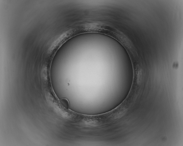 X0000112050729200908041150