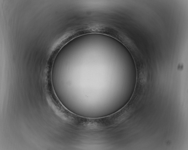 X0000112050730200908041150