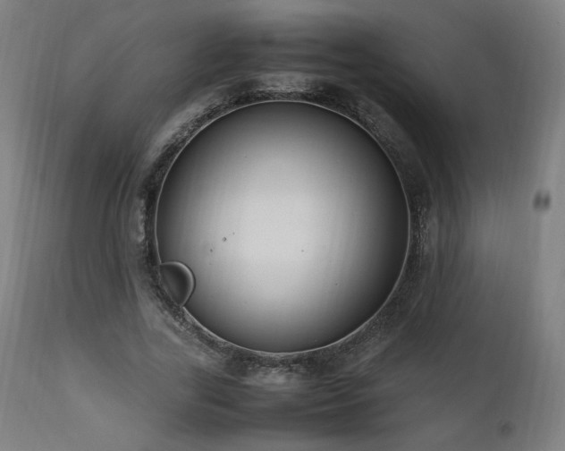 X0000112050731200908041150
