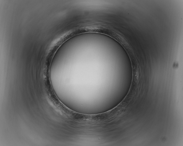 X0000112050732200908041150