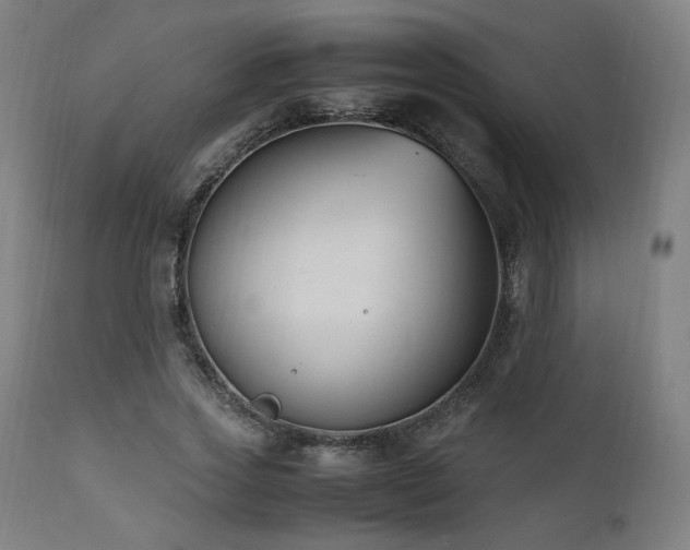 X0000112050733200908041150