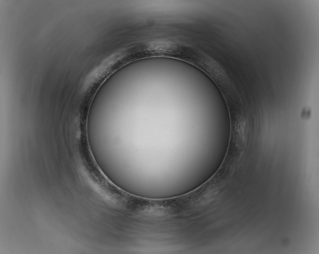 X0000112050734200908041150