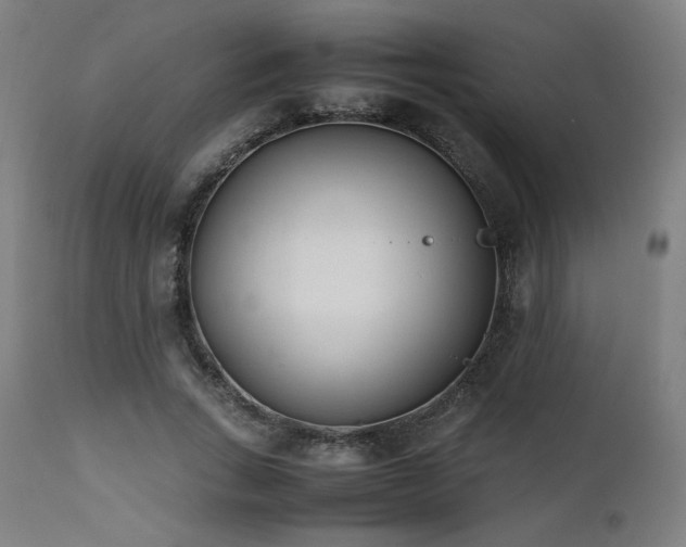 X0000112050735200908041150