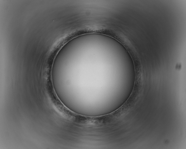 X0000112050736200908041150