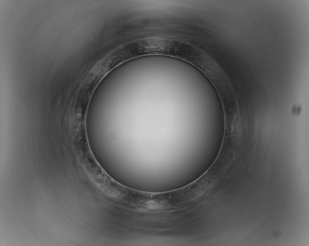 X0000112050737200908041150