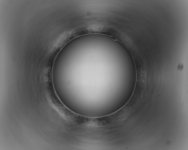 X0000112050738200908041150