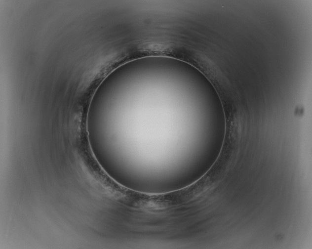 X0000112050739200908041150